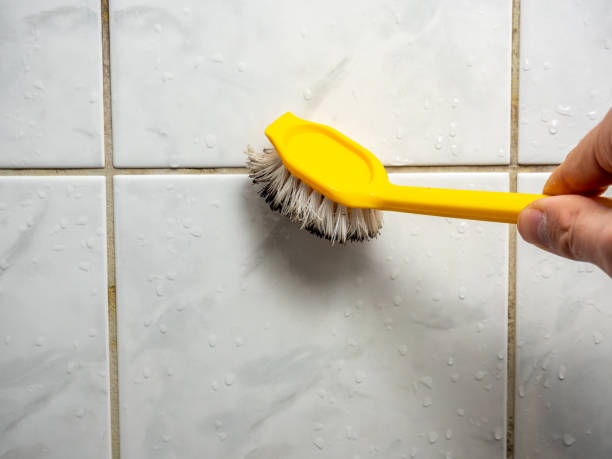 Best Affordable Mold Removal  in Sachse, TX