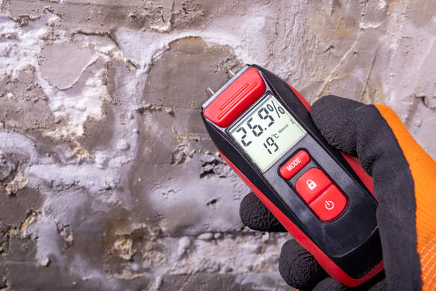 Best Emergency Mold Removal  in Sachse, TX
