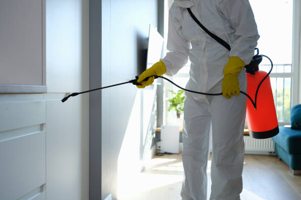 Mold Testing and Removal in Sachse, TX