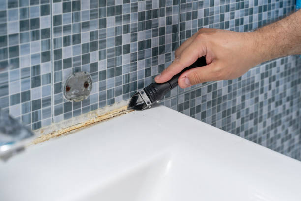 Best Residential Mold Removal  in Sachse, TX