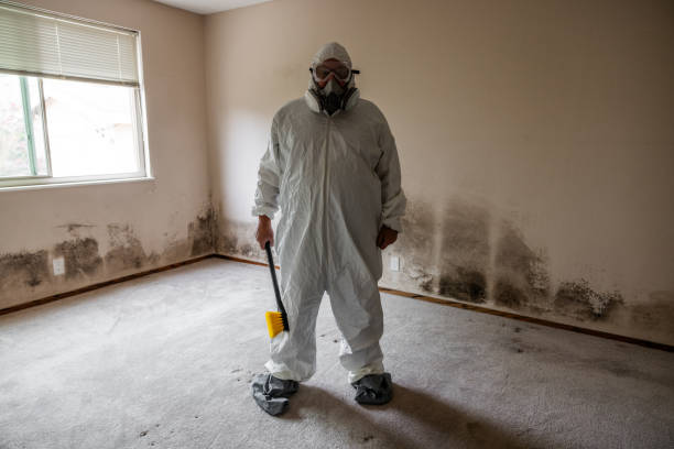 Best Crawl Space Mold Removal  in Sachse, TX