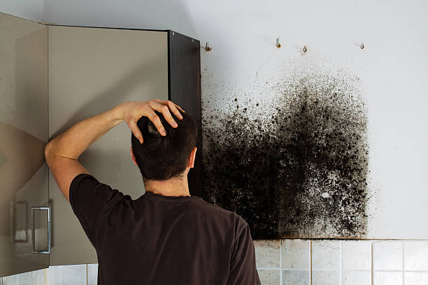 Water Damage Restoration in Sachse, TX